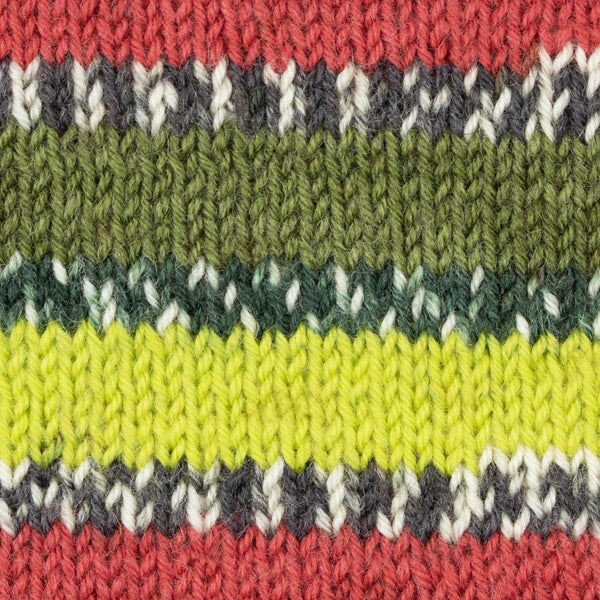 Beginner's Sock Kit
