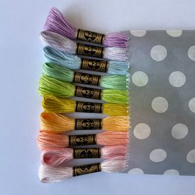 Mystery Embroidery Thread Bundle