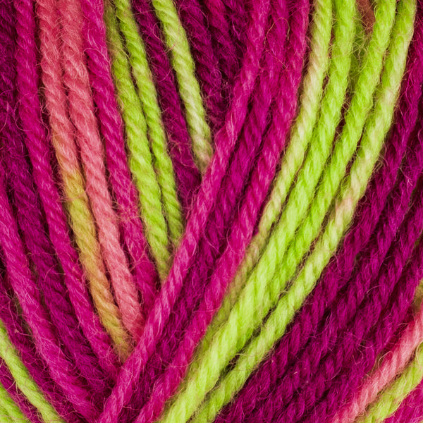West Yorkshire Spinners - ColourLab DK Future Dreams